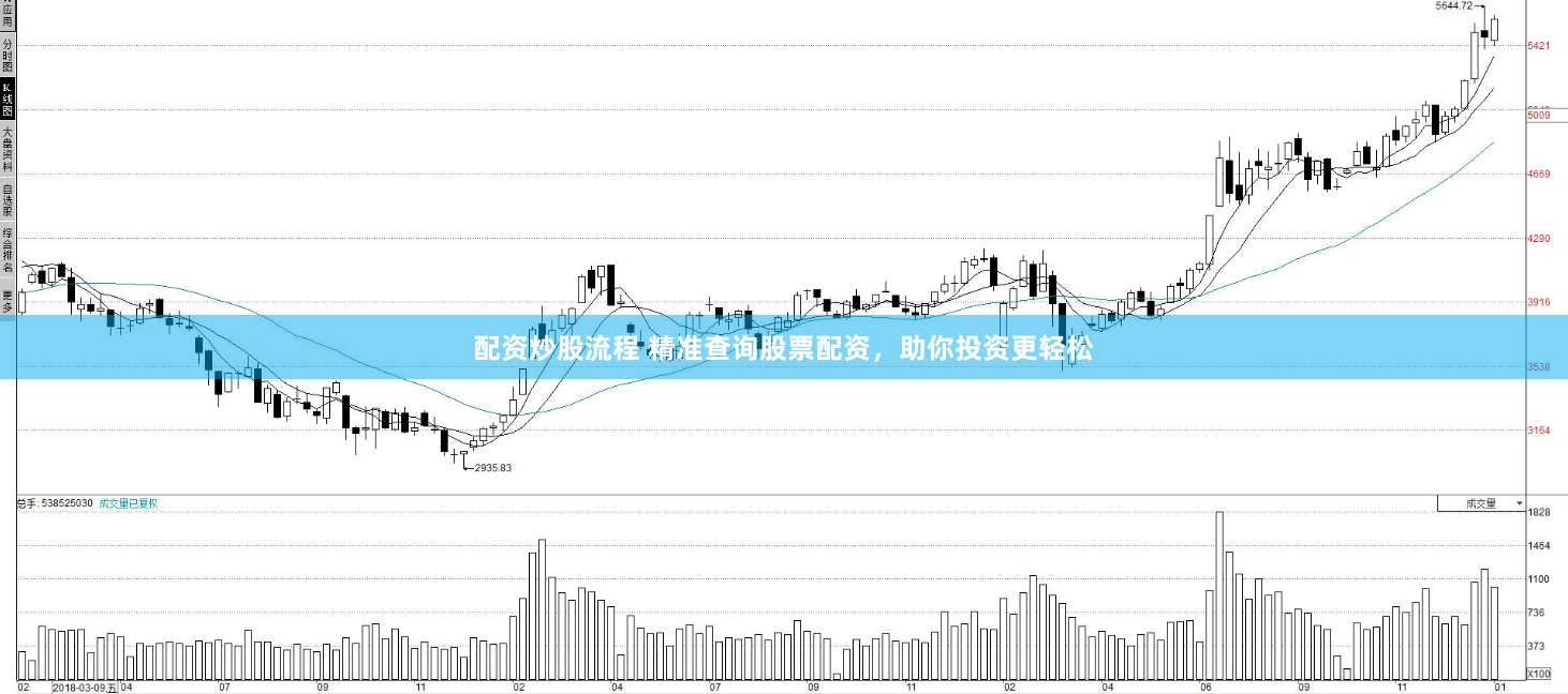配资炒股流程 精准查询股票配资，助你投资更轻松